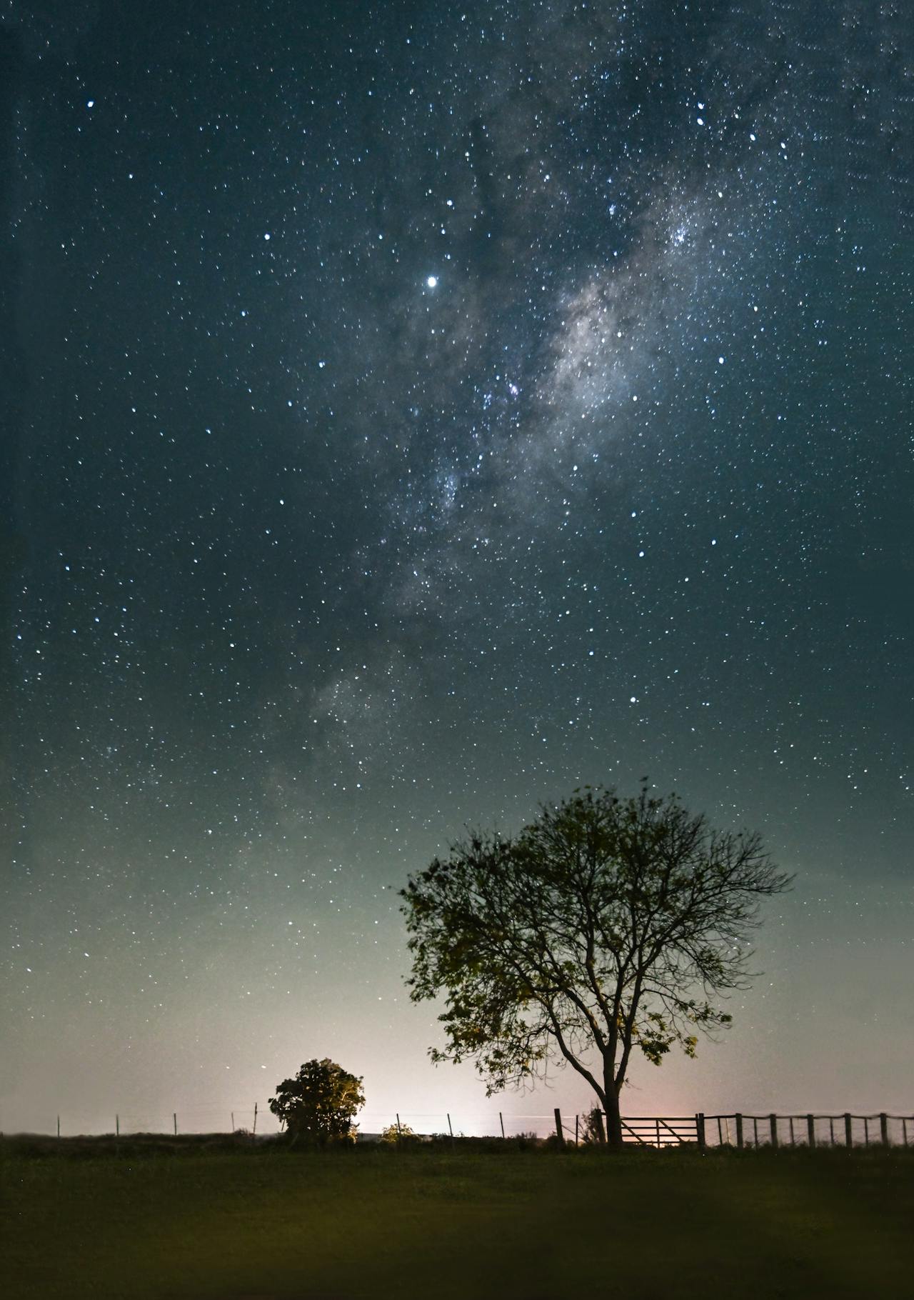 Tree silhouette against a starry night sky with the Milky Way galaxy.